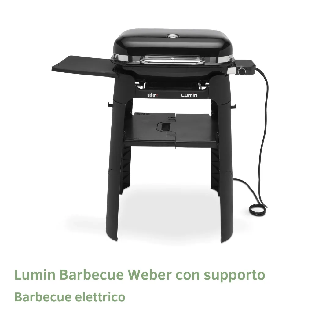 Lumin Barbecue elettrico Weber con supporto