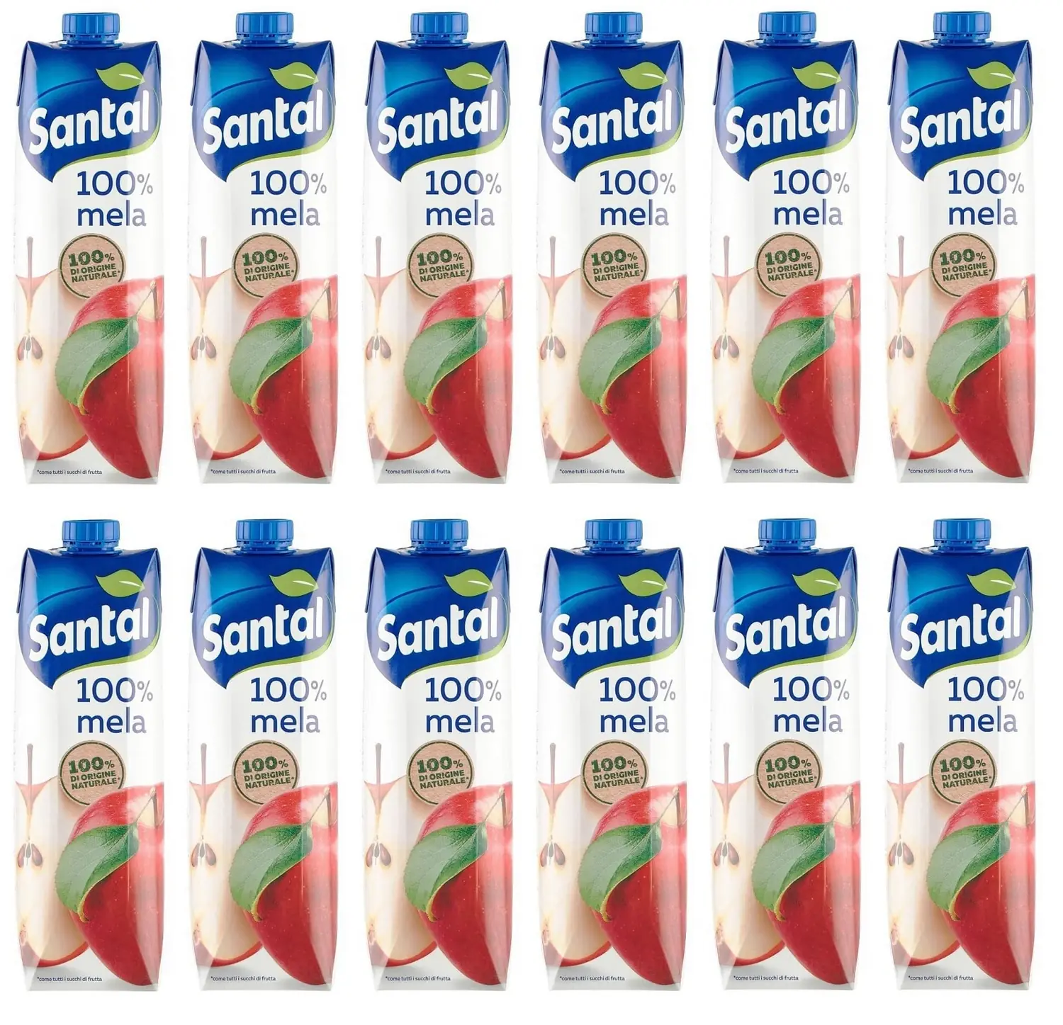 12 X Parmalat Santal I Classici Succo Di Frutta Mela Jus De Fruits 100% D'origine Naturelle Boisson Rafraîchissante Tetrapack 1000 Ml