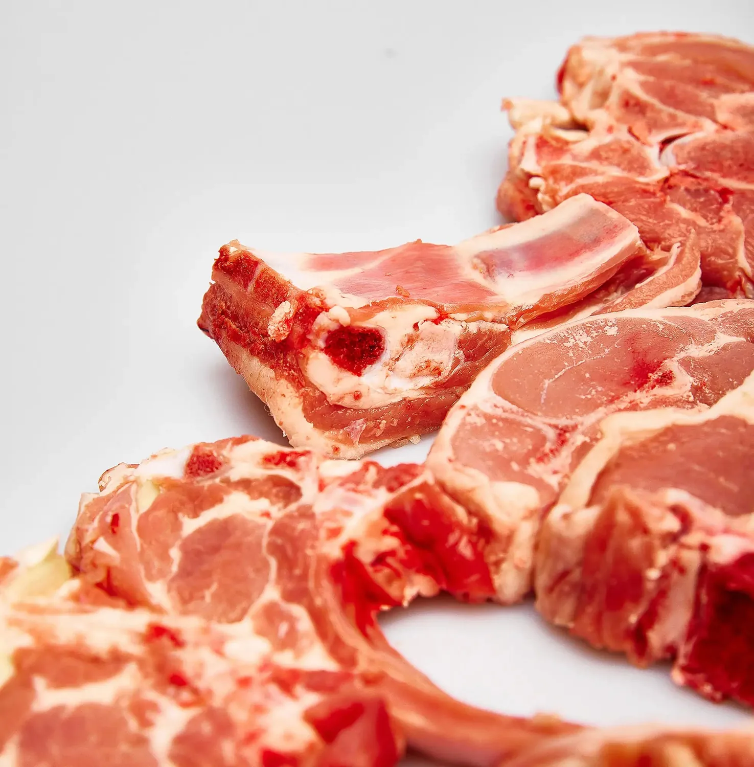 Agnello
