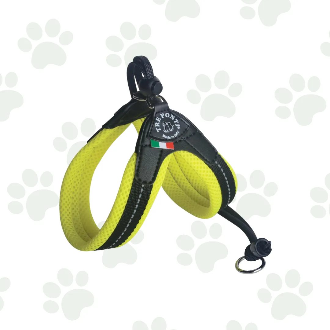 Easy Fit Neon Mesh - Pettorina per cani