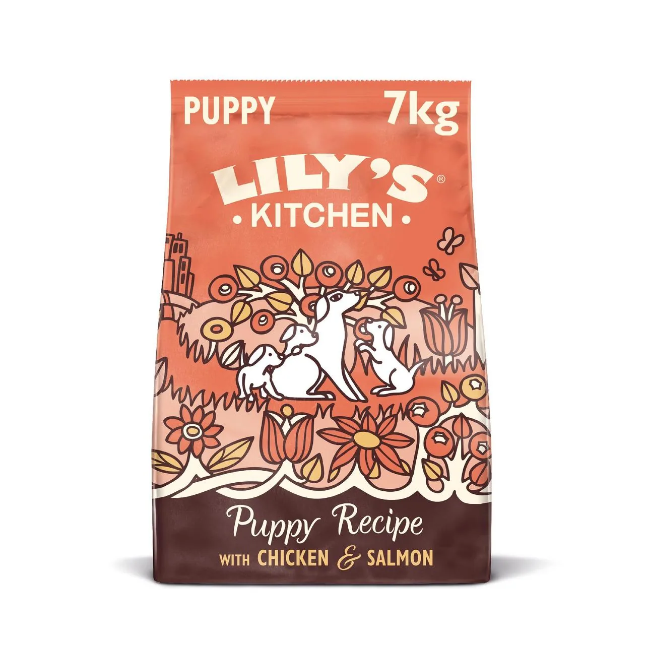 Lily's Kitchen Dog Chicken & Salmon Puppy Recipe Dry Food 7kg