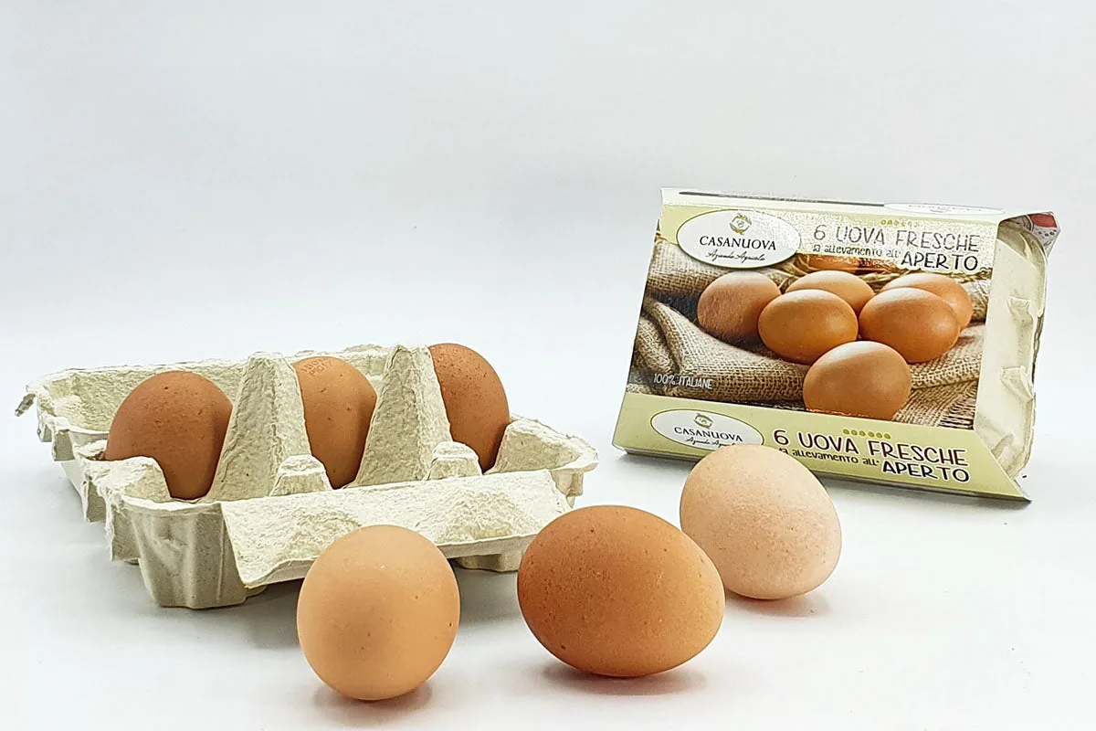 Uova fresche toscane Free Range