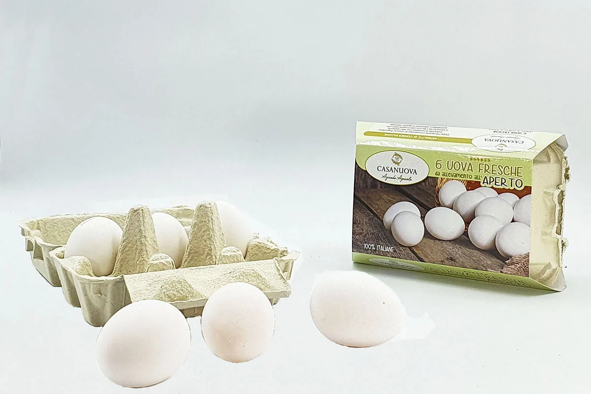 Uova fresche di "gallina livornese" Free Range
