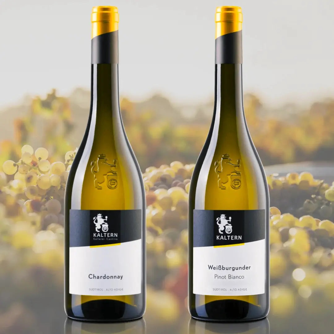 Weißwein Degustationspaket