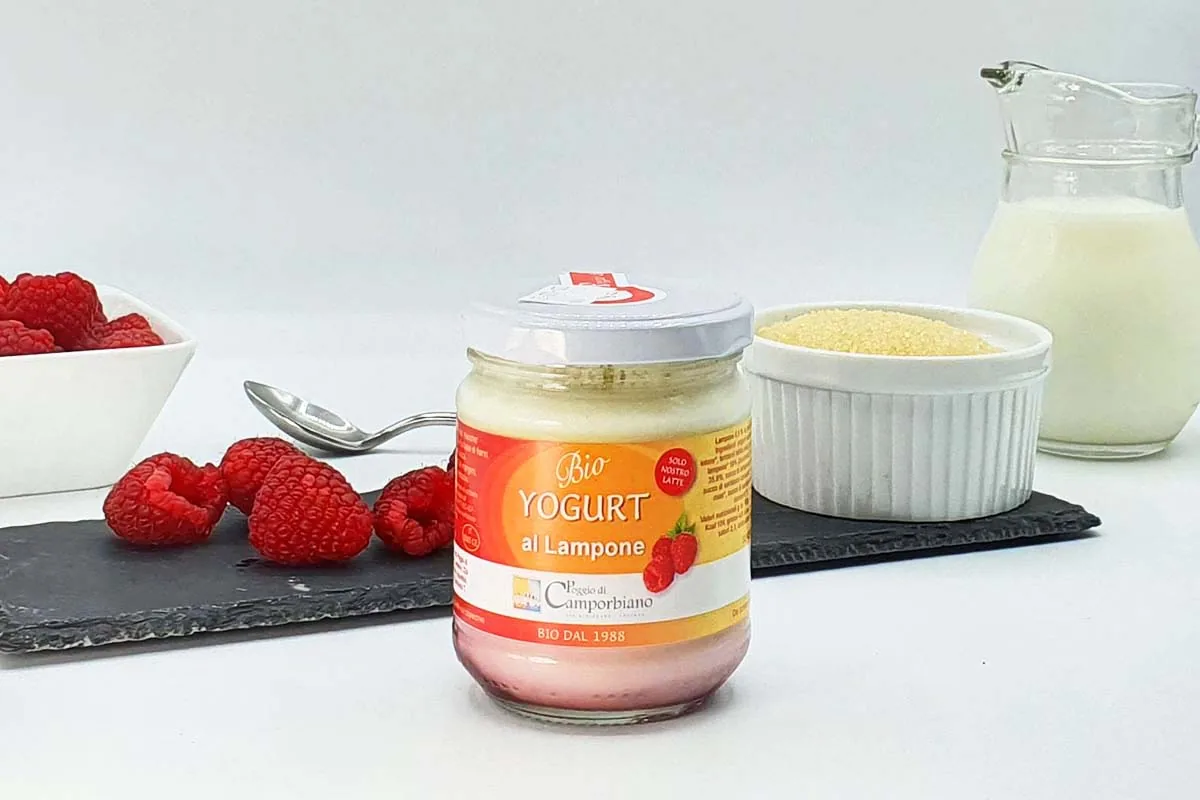 Yogurt al lampone