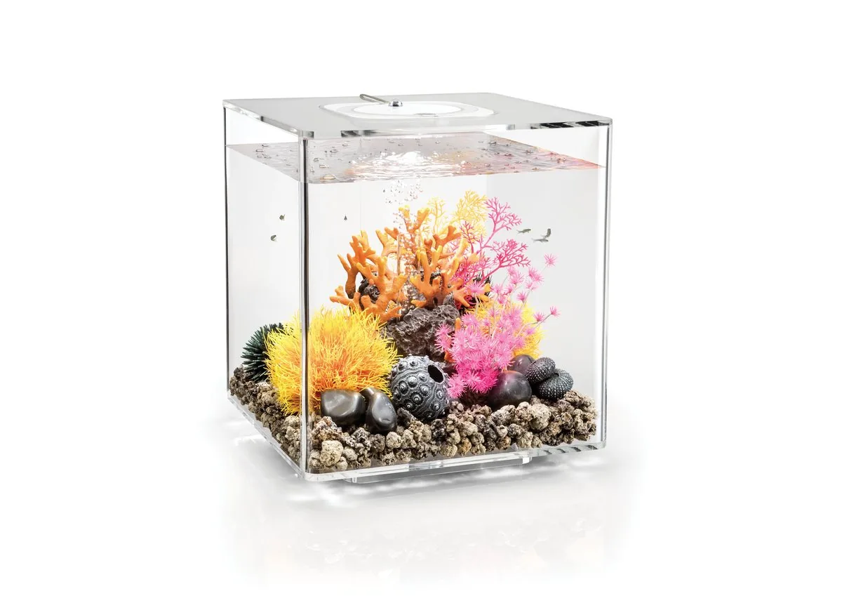 ACQUARIO A LED MCR BIORB CUBE 30 LITRI TRASPARENTE