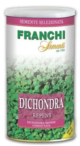 DICHONDRA REPENS PRATO SENZA MANUTENZIONE 500GR