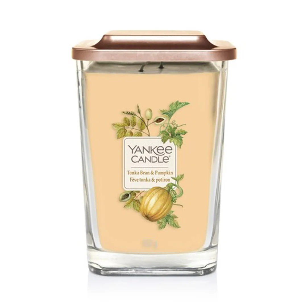 ELEVATION GIARA GRANDE TONKA BEAN&PUMPKIN