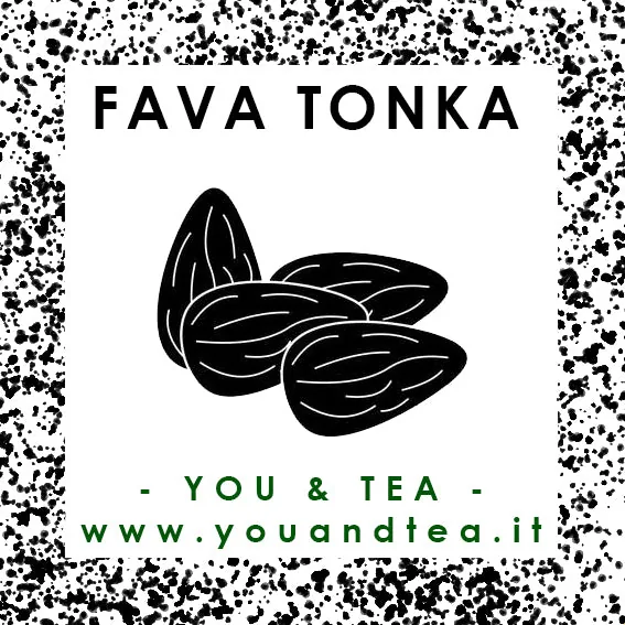 FAVA DI TONKA