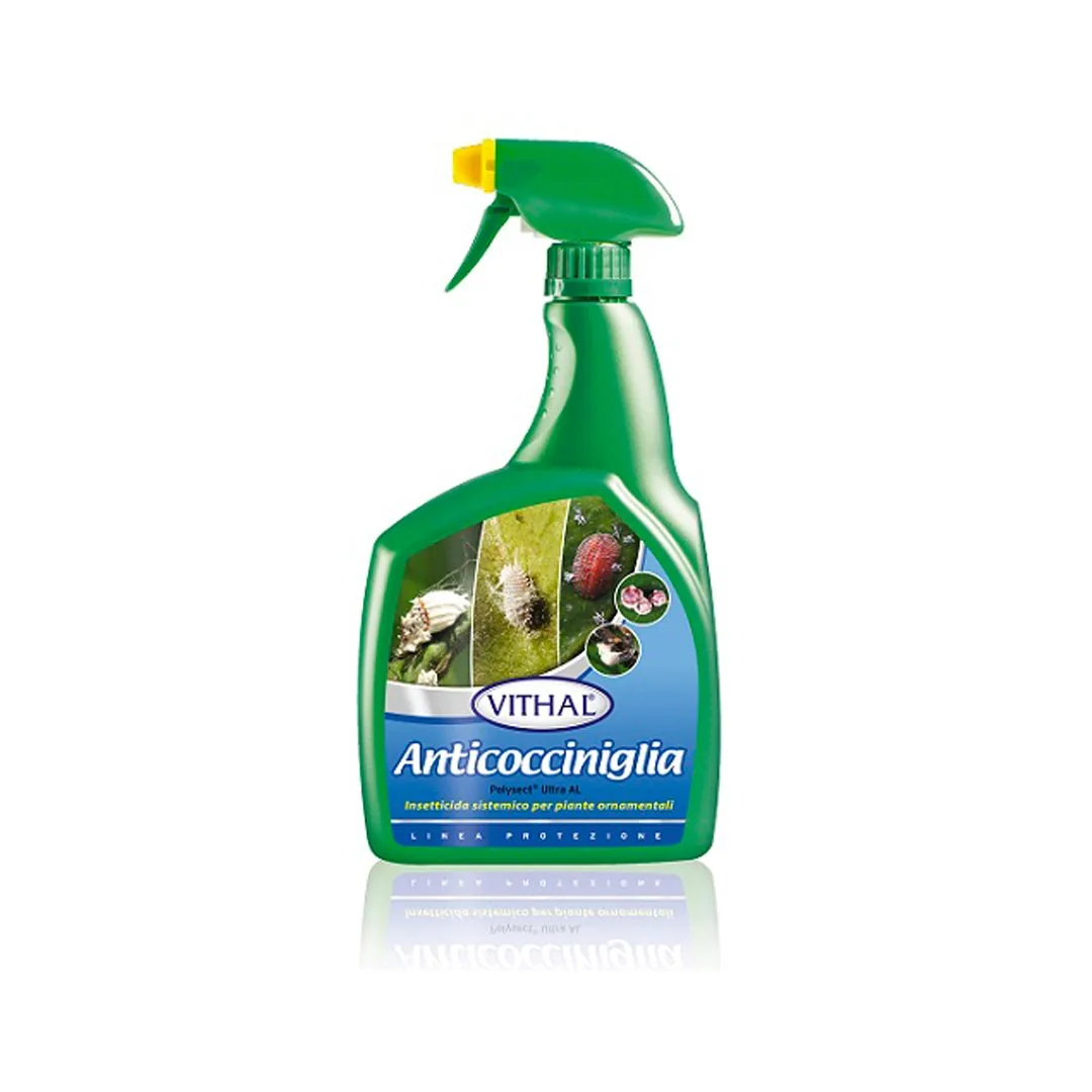 INSETTICIDA ANTICOCCINIGLIA VITHAL 800 ML