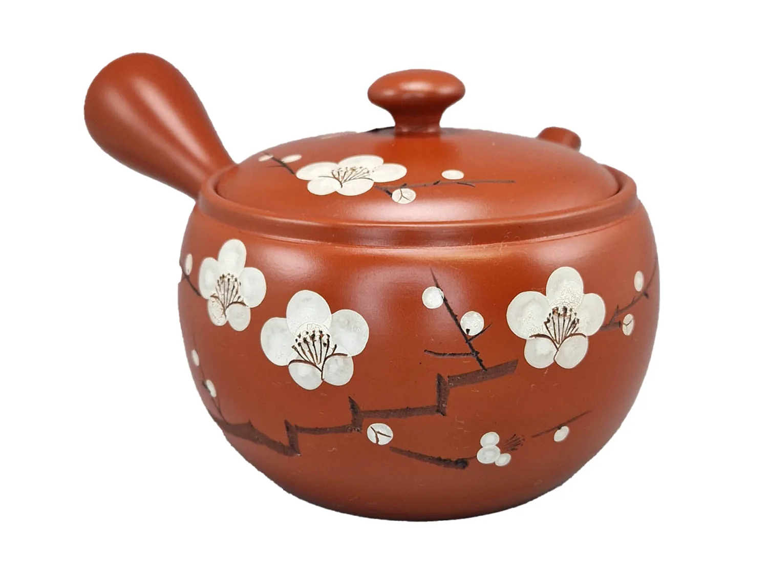 TEIERA KYUSU FIORE DI SAKURA - TOKONAME