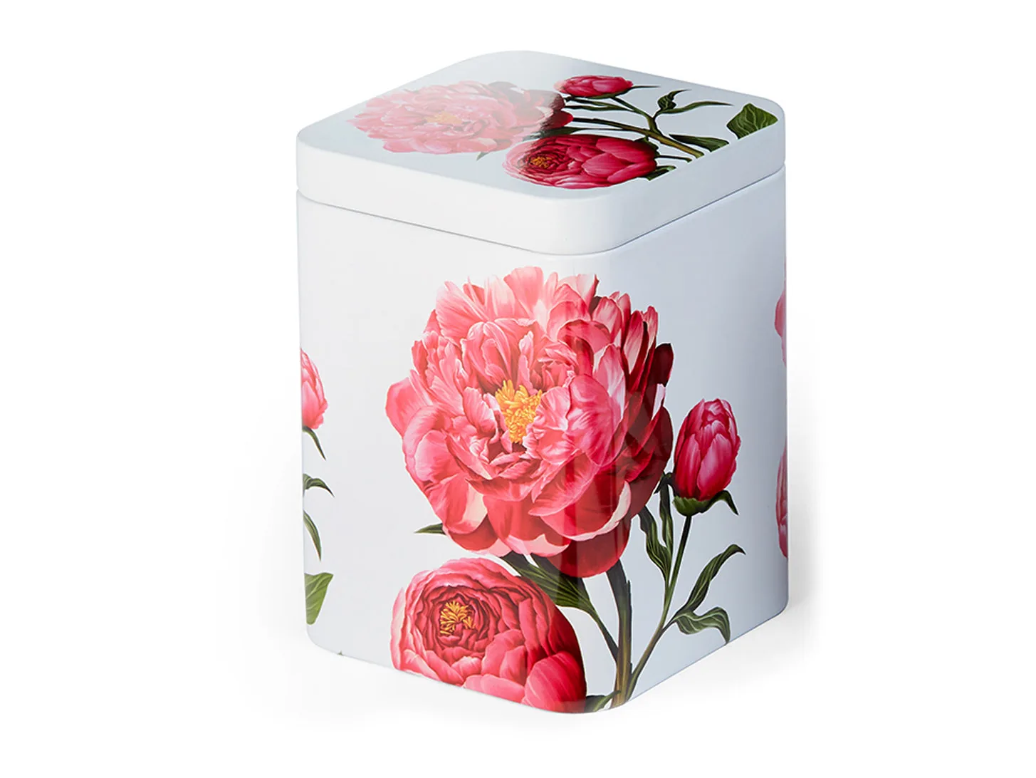 LATTINA - PEONIA ROSA - CHA CULT