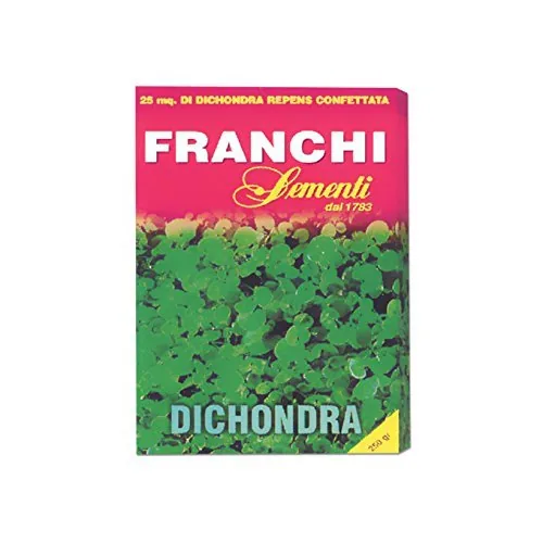 PRATO DICHONDRA REPENS 100 GRAMMI