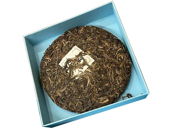 CINA - GREEN PU'ER BEENG-CHA LINCANG - THÈIERES SAUVAGES (SHENG)
