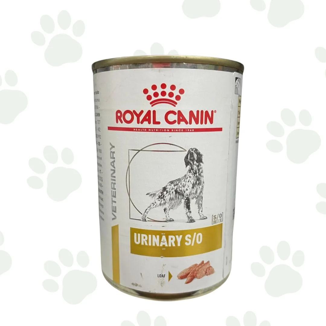 Royal Canin - Urinary S/O alimento umido per cani
