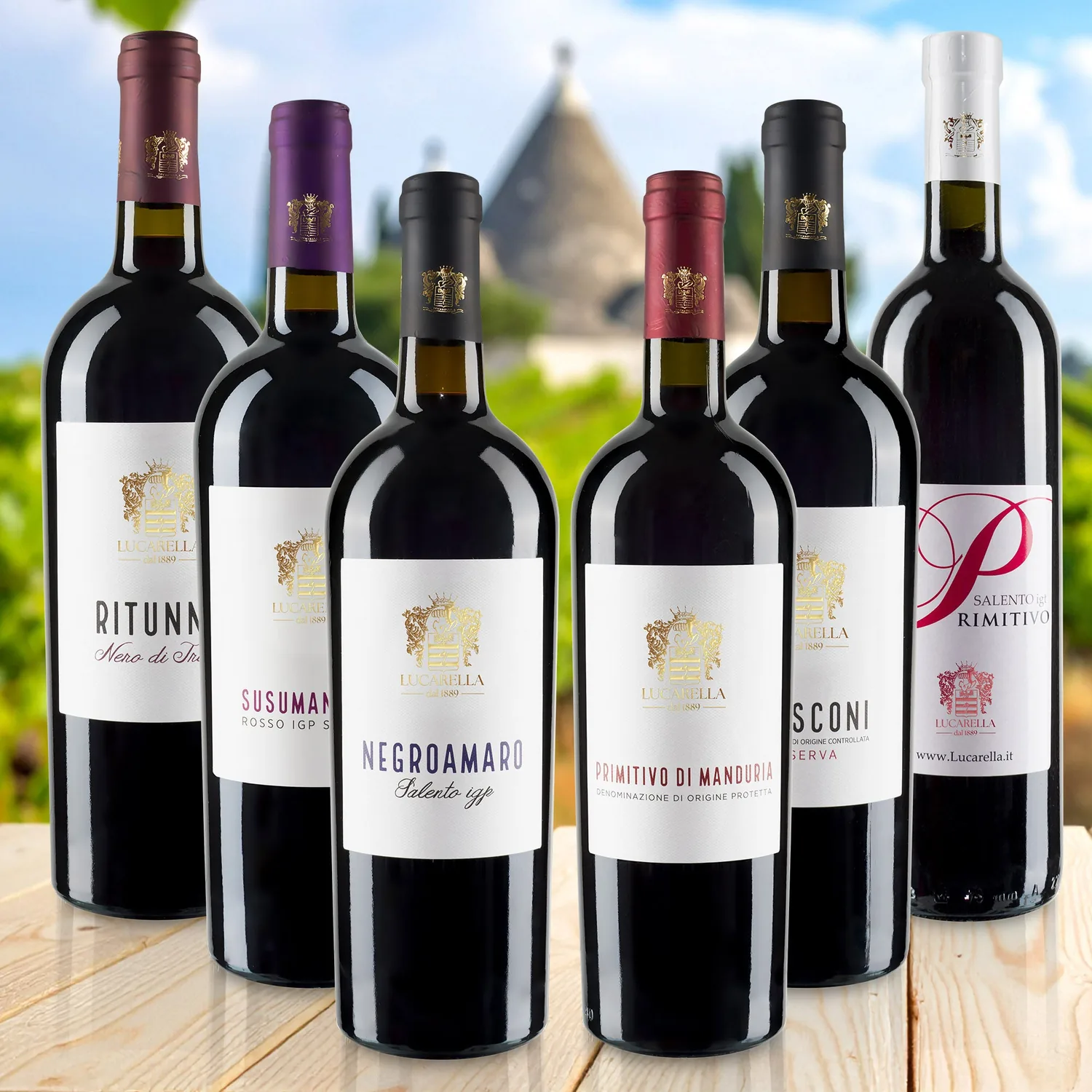 Degustazione Vini rossi