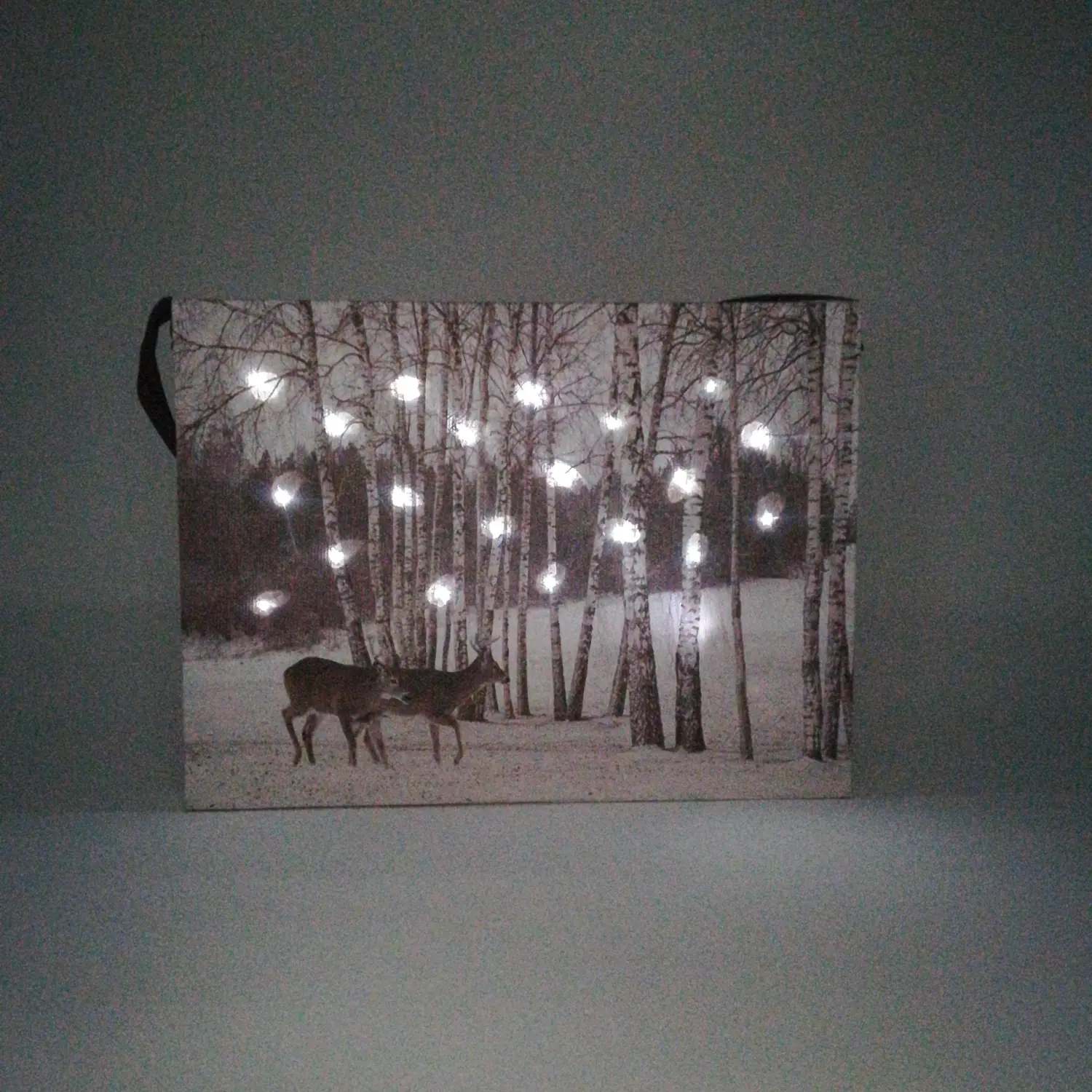 Tela Luminosa 20 Fibre Ottiche 20x15 Renne
